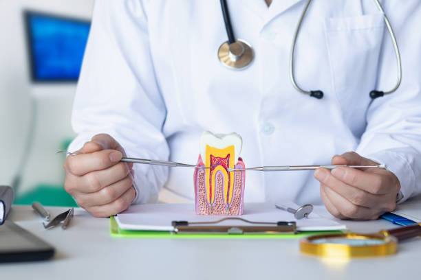 Best Emergency Wisdom Teeth Removal in Lynchburg, TN